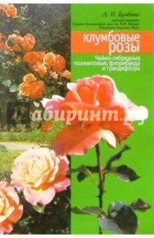 Любовь Бумбеева - Клумбовые розы обложка книги Любовь Бумбеева - Клумбовые розы обложка книги