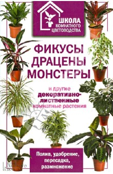 Фикусы, драцены, монстеры и другие декоративно-лиственные комнатные растения