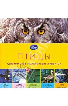 Птицы. Удивительная энциклопедия животных обложка книги Птицы. Удивительная энциклопедия животных обложка книги