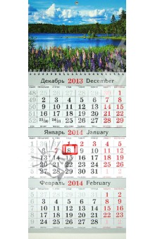 Квартальный календарь на 2014 год "Озеро". Малый (31393) Квартальный календарь на 2014 год "Озеро". Малый (31393)