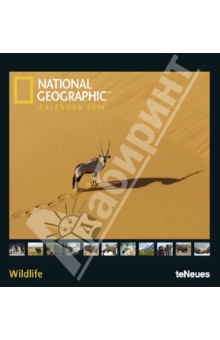 Календарь на 2014 год "National Geographic. Живая природа" (7-6689) Календарь на 2014 год "National Geographic. Живая природа" (7-6689)