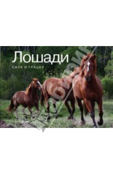 Kristin Maffei - Лошади. Сила и грация обложка книги Kristin Maffei - Лошади. Сила и грация обложка книги