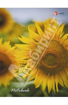 Книга для записей, А6 "Цветы. Подсолнухи" (КЗ6961375) Книга для записей, А6 "Цветы. Подсолнухи" (КЗ6961375)
