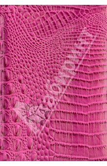 Ежедневник недатированный "Аллигатор" (малиновый, А5) (29991) Ежедневник недатированный "Аллигатор" (малиновый, А5) (29991)