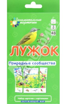 Лужок. Природные сообщества - Е. Гончарова