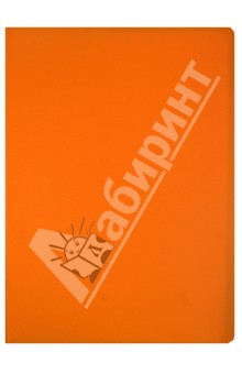 Папка 60 файлов, А4, пластиковая, оранжевая (CY1426-O) Папка 60 файлов, А4, пластиковая, оранжевая (CY1426-O)
