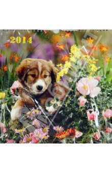 Календарь 2014 "Щенки", 29х29 см (17.6) Календарь 2014 "Щенки", 29х29 см (17.6)
