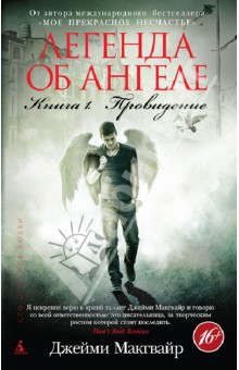 Легенда об ангеле. Книга 1. Провидение - Джейми Макгвайр