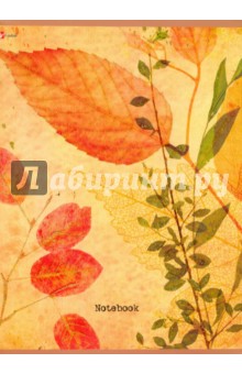 Тетрадь для конспектов, 96 листов, А4 "Краски осени" (ТБ4964104) Тетрадь для конспектов, 96 листов, А4 "Краски осени" (ТБ4964104)