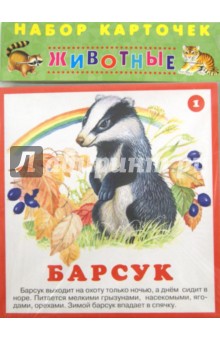 Набор карточек. Животные обложка книги Набор карточек. Животные обложка книги
