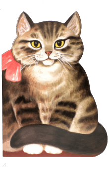 Котик-коток обложка книги Котик-коток обложка книги