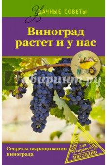 Виноград растет и у нас - Юрий Загвоздин