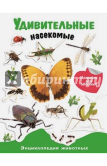 Удивительные насекомые. Энциклопедия животных с наклейками обложка книги Удивительные насекомые. Энциклопедия животных с наклейками обложка книги