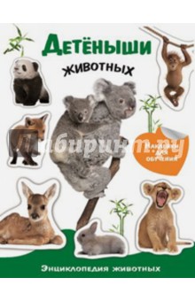 Детеныши животных. Энциклопедия животных с наклейками
