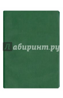 Тетрадь "Lenity" (A5, 160 страниц, клетка, темно-зеленая) (PF-5KL153304-23) Тетрадь "Lenity" (A5, 160 страниц, клетка, темно-зеленая) (PF-5KL153304-23)