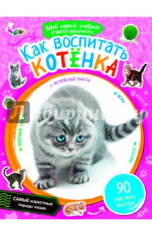 Как воспитать котёнка обложка книги Как воспитать котёнка обложка книги