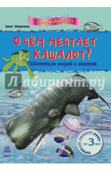 Анна Макулина - О чём мечтает кашалот? Обитатели морей и океанов обложка книги Анна Макулина - О чём мечтает кашалот? Обитатели морей и океанов обложка книги