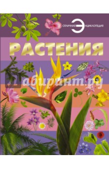 Анна Спектор - Растения обложка книги Анна Спектор - Растения обложка книги