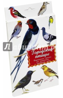 Дидактические карточки "Городские птицы" обложка книги Дидактические карточки "Городские птицы" обложка книги