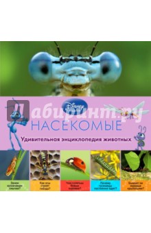 Donald Moore - Насекомые обложка книги Donald Moore - Насекомые обложка книги