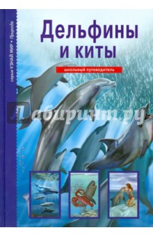 Дельфины и киты - Юлия Дунаева