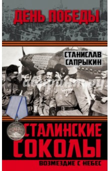 Сталинские соколы. Возмездие с небес - Станислав Сапрыкин