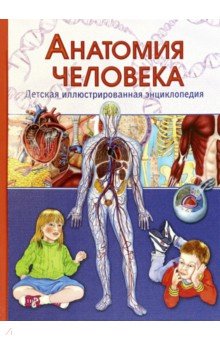 Анатомия человека. Детская иллюстрированная энциклопедия - Винченцо Гуиди