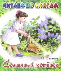 Владимир Степанов - Солнечный котёнок обложка книги