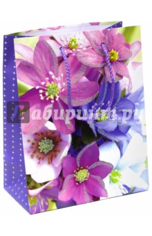 Пакет подарочный ламинированный (180х227х100) (MP 2045) Пакет подарочный ламинированный (180х227х100) (MP 2045)