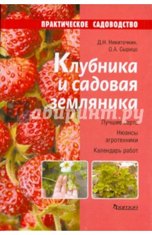 Клубника и садовая земляника - Никиточкин, Сырицо