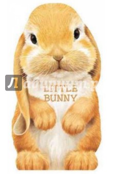 Giovanni Caviezel - Little Bunny обложка книги Giovanni Caviezel - Little Bunny обложка книги