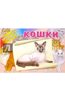 Кошки обложка книги Кошки обложка книги