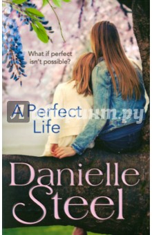 A Perfect Life - Danielle Steel