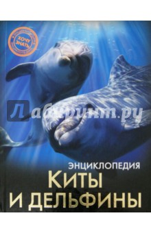 Киты и дельфины - Михаил Савостин