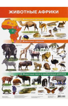 Плакат Животные Африки (2705)