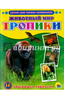 Уроки для самых маленьких. Животный мир. Тропики