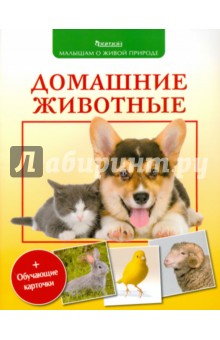 Домашние животные - Петр Волцит