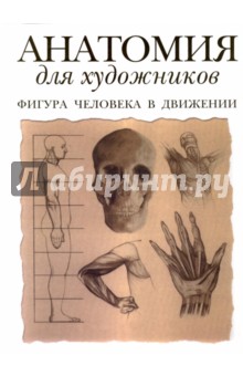 Анатомия для художников. Фигура человека в движении - Том Флинт