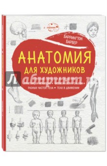 Анатомия для художников - Баррингтон Барбер
