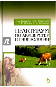 Практикум по акушерству и гинекологии. Учебное пособие - Багманов, Терентьева, Юсупов