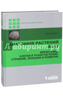 Анатомия растуний Эзау. Меристемы, клетки и ткани растенний: строение, функции и развитие