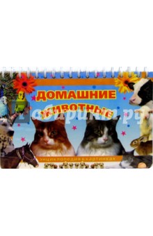 Домашние животные обложка книги Домашние животные обложка книги