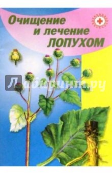 Очищение и лечение лопухом