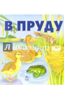 В пруду