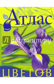 Стив Мистер - Атлас цветов обложка книги Стив Мистер - Атлас цветов обложка книги