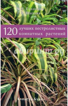 Борис Головкин - 120 лучших пестролистных комнатных растений обложка книги Борис Головкин - 120 лучших пестролистных комнатных растений обложка книги