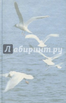 Александр Кушнер - В новом веке обложка книги Александр Кушнер - В новом веке обложка книги