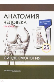 Сапин, Николенко, Тимофеева - Анатомия человека. Синдесмология (25 карточек) обложка книги Сапин, Николенко, Тимофеева - Анатомия человека. Синдесмология (25 карточек) обложка книги