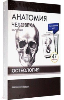 Сапин, Николенко, Тимофеева - Анатомия человека. Остеология (47 карточек) обложка книги Сапин, Николенко, Тимофеева - Анатомия человека. Остеология (47 карточек) обложка книги