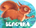 Мария Жученко - Белочка обложка книги